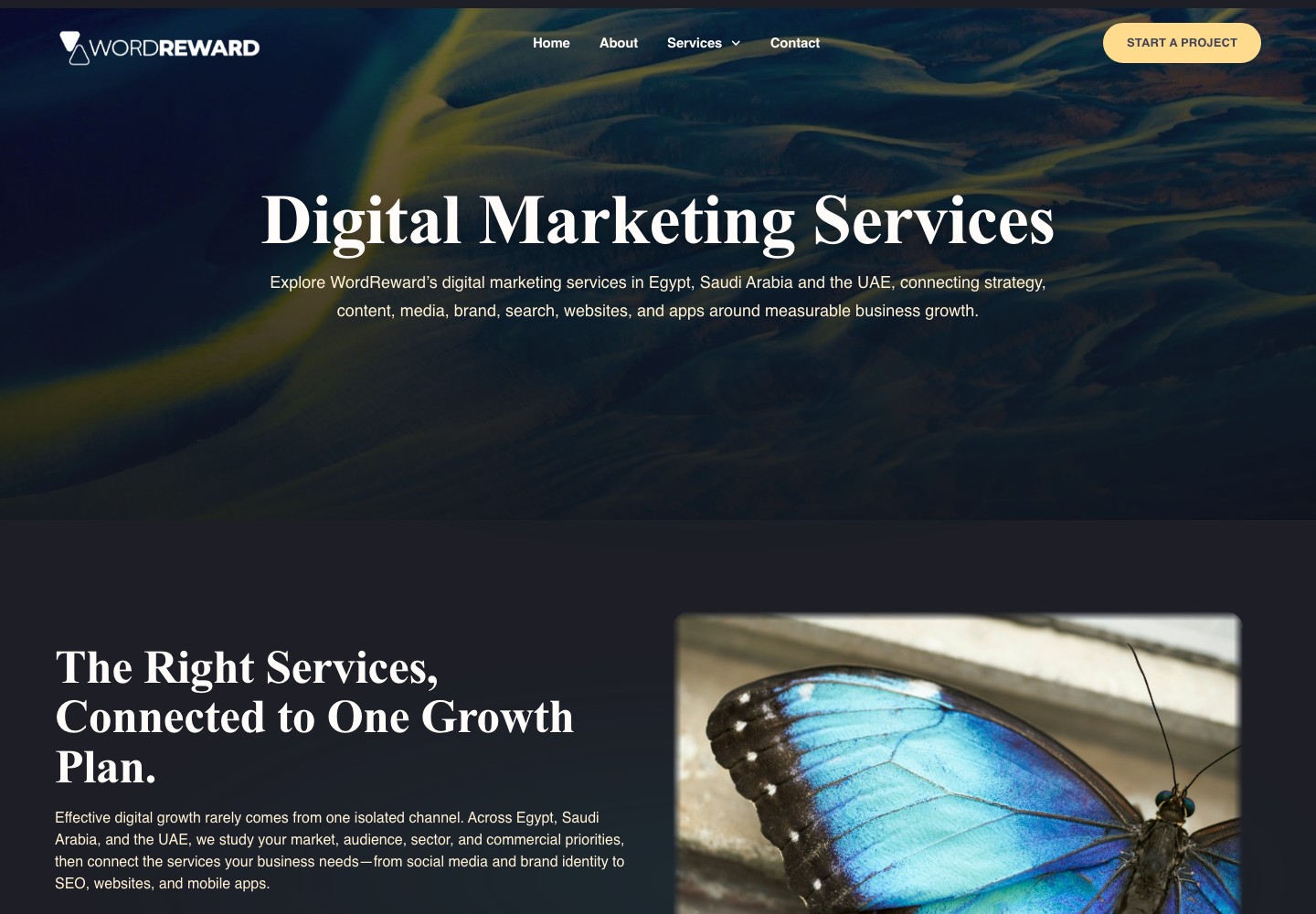 WordReward connected digital marketing services page